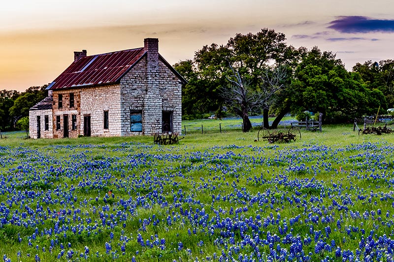 Abandonded Old House