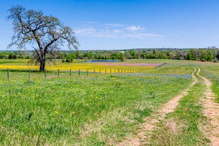 Rand land with green pastures. Collateral Secured Loans for Land Projects and Commercial Ventures.