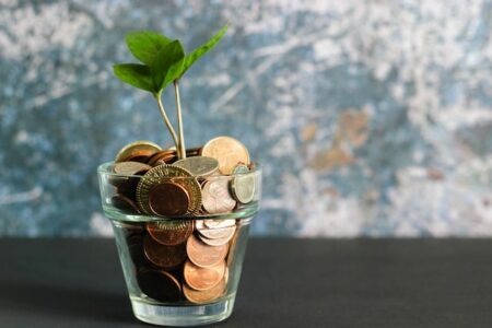 Plant growing from coins to show how hard money loans in Houston help fund your investment