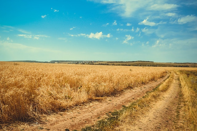 open field raw land purchased with Houston hard money loans